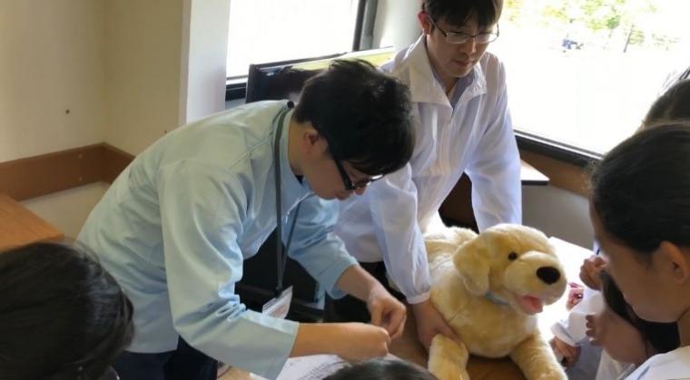 獣医師体験の模様