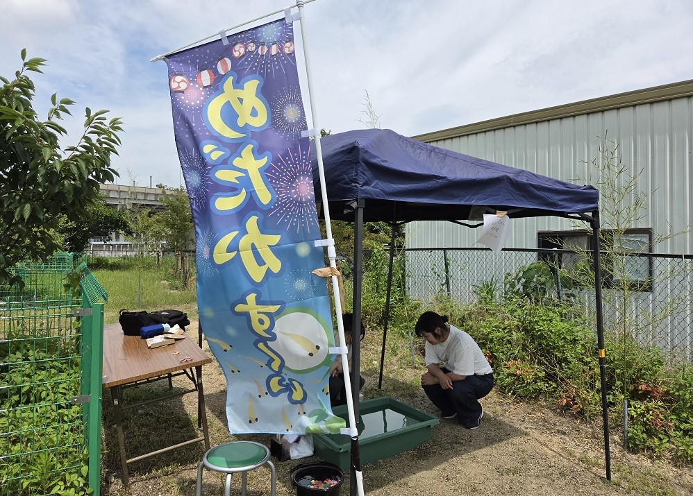 めだかすくい